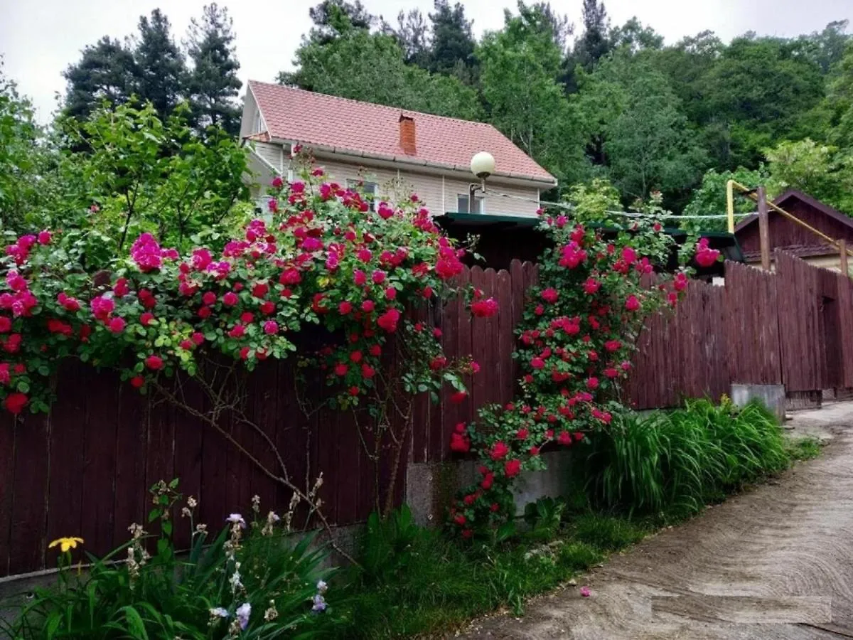 Guest House On The Sea Sochi Rusia